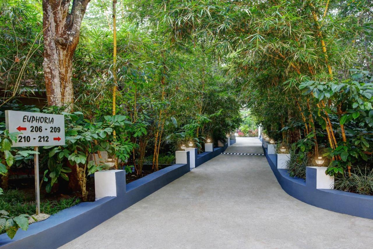 Gokulam Grand Resort & Spa, Coorg Kushalnagar Luaran gambar